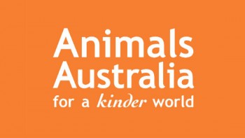 Animals Australia's logo