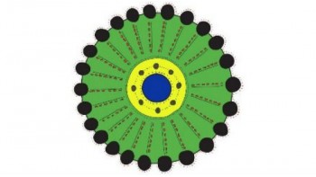Thamarrurr Development Corporation's logo