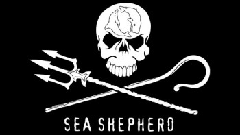 Sea Shepherd Australia's logo