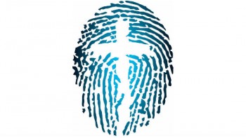 Trustees of Christian Brothers's logo