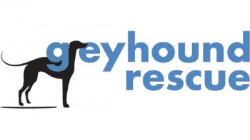 Greyhound Rescue's logo